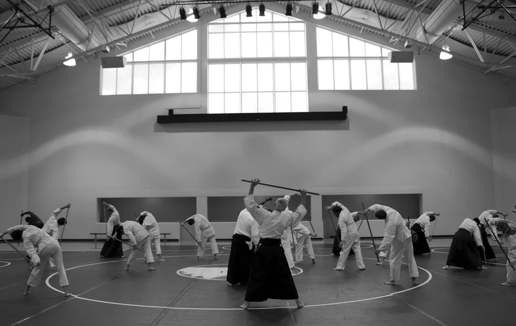 A martial arts class training in a large, bright dojo